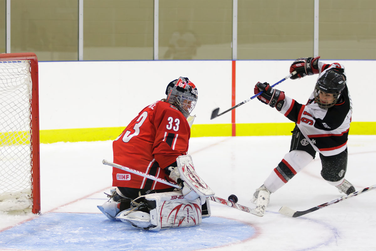 A visual link - click to view the Hockey Canada gallery