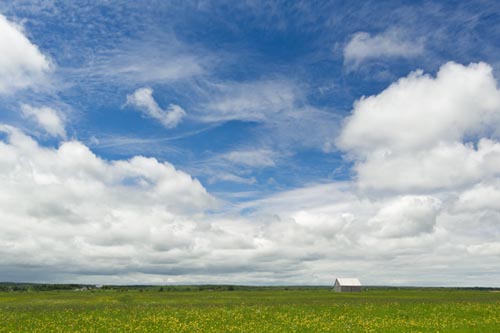 A link to the product page for the photographic print titled Tantramar Marsh