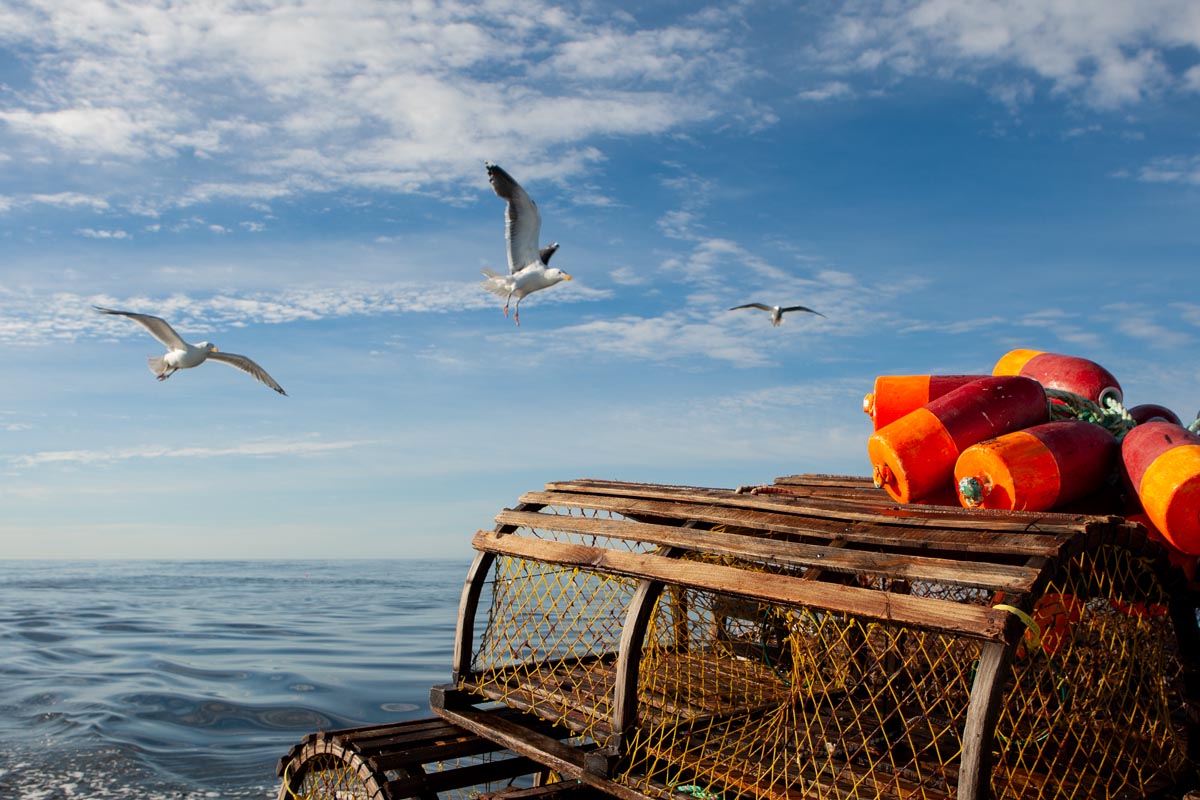 Wooden lobster pots stacked on the stern of the Andrea Lynn