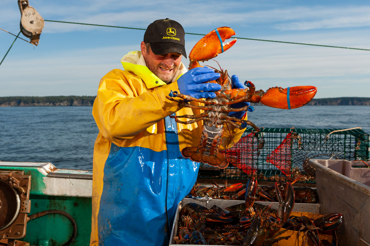 Randy Sandell with a large market-size lobster