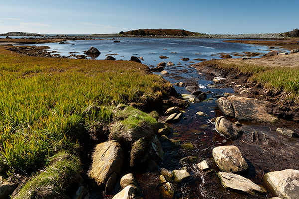 Looking towards Barachois Cove from one of the hiking trails.