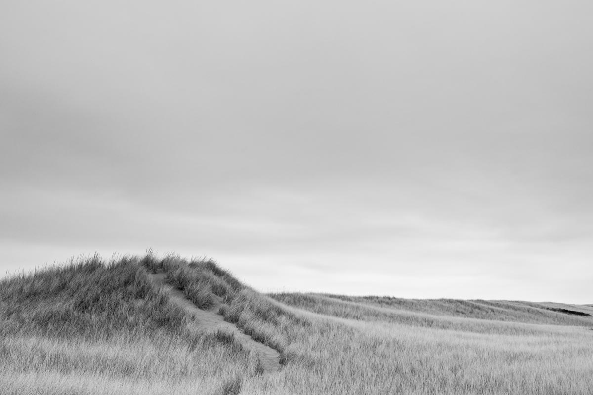 A visual link - click the icon to view the photographic series titled Barren